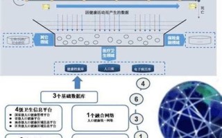 大数据如何进行健康监测的