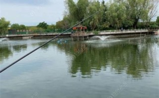 通惠河垂钓指南