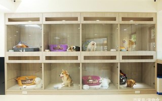 新都宠物店