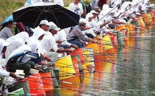 泰安天鹅湖垂钓中心电话