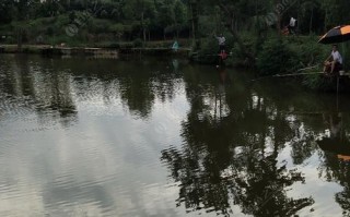 浙西大峡谷游玩攻略