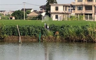 蓝田垂钓中心在哪里