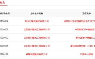 乡镇大数据核查工作情况汇报