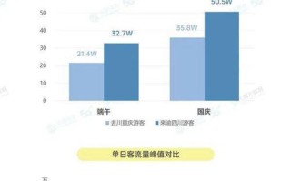 央视点赞大数据监控的视频