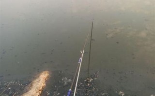 泔河水库垂钓攻略