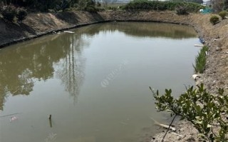 上海休闲垂钓规定