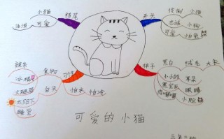 宠物家具思维导图图片模板