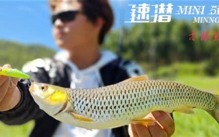 野钓山体水库怎么选位置