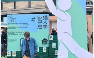 宠物友好酒店