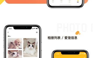 宠物定位