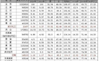 武汉市人口大数据分析