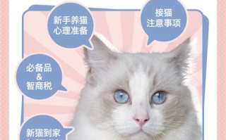 海宴宠物店