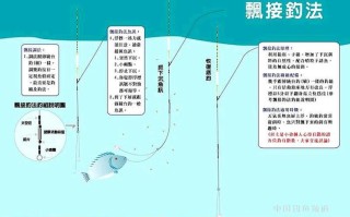 一、选择合适的钓竿和渔具