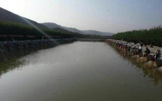 万丰生态垂钓园地址