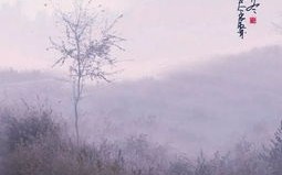 我们无法阻止时光的流转,但没有理由拒绝阳光的灿烂