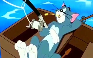 猫和老鼠训练营