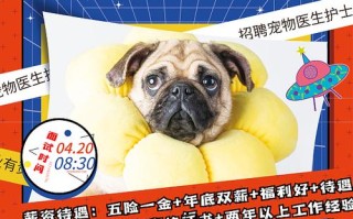 哈尔滨宠物医院