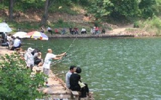 垂钓频道在线直播观看