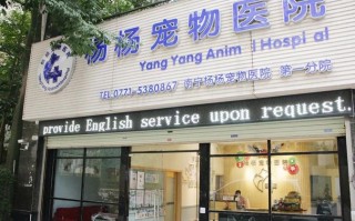 天龙八部手游抓宝宝攻略