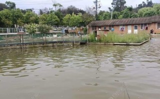 晋城钓鱼去哪?晋城钓场地址推荐