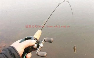 垂钓处罚法律依据