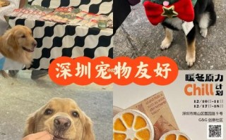 1.宠物赛事