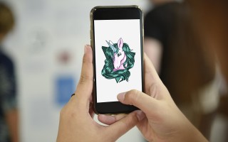 捕捉生活瞬间，如何高效收集与利用生活视频素材