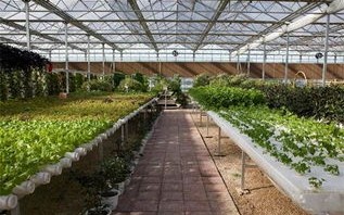 芜湖温室大棚