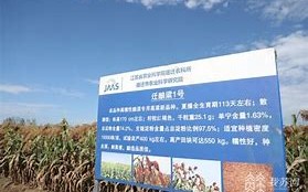 东方鼎周报从原粮到美酒，铸造产品品质之魂
