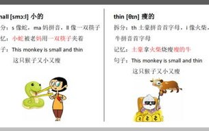 宠物养成物语