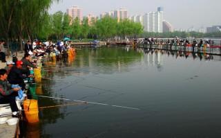 五星垂钓园：让垂钓成为快乐的时光