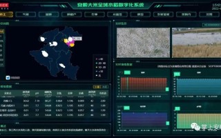 安顺大数据开发排名