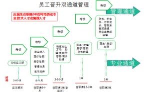 宠物公司管理