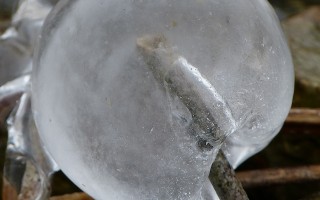 除锈的方法(怎么去除铁锈小妙招)