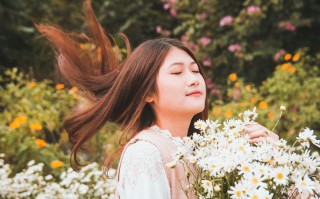 美丽加芬，打造完美护肤体验的官网解析