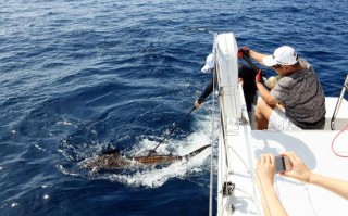 海湾钓鱼农庄