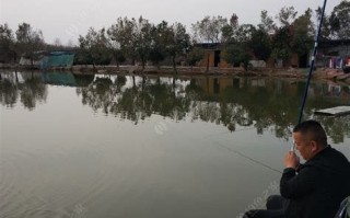 阳澄湖垂钓中心如何收费