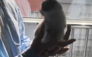希诺谷生物科技有限公司