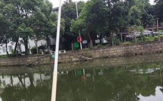 大丰三龙护养垂钓中心招聘