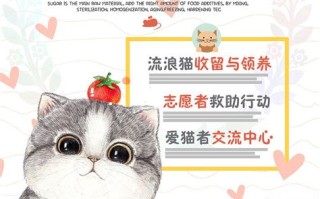 为什么我们需要宠物法？