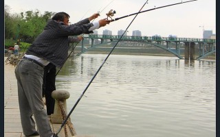 1.了解湖泊环境