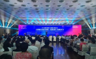 国际大数据公司排名