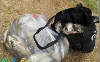 彭泽县长江流域垂钓管理通知