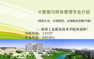 大数据与会计对口专业