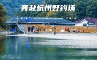 西湖垂钓证多少钱办