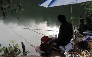 关于垂钓的作文500字