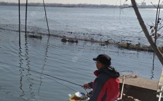 冬季垂钓鲤鱼技巧与注意事项