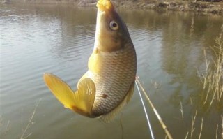 夏季钓鱼深度适合的水位
