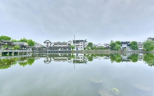 临清城南规划图