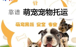 宠物合法安全邮寄指南